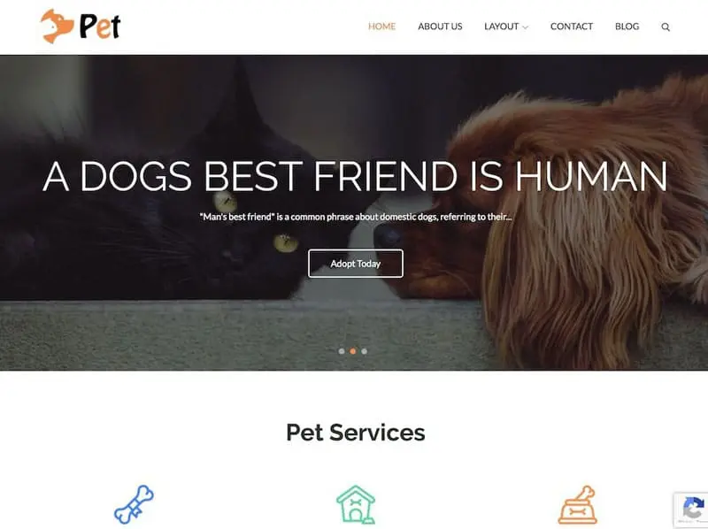 دانلود قالب رایگان وردپرس Pet Business