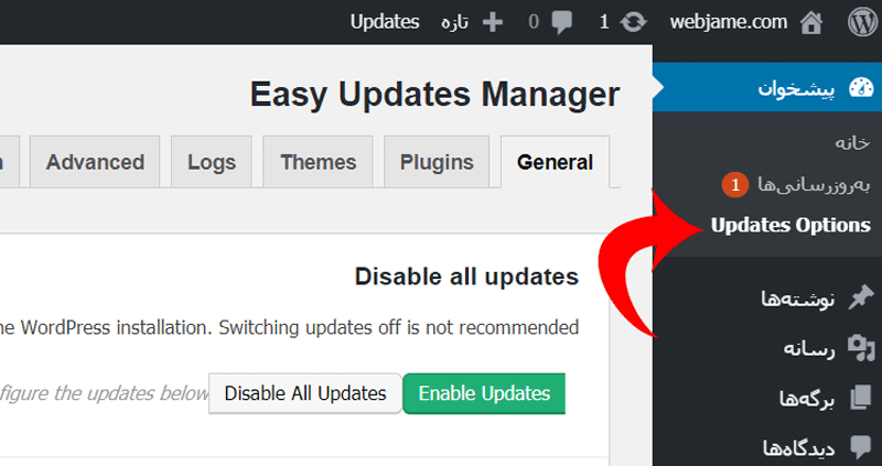 آموزش افزونه Easy Updates Manager برای غیرفعال کردن بروزرسانی اتوماتیک