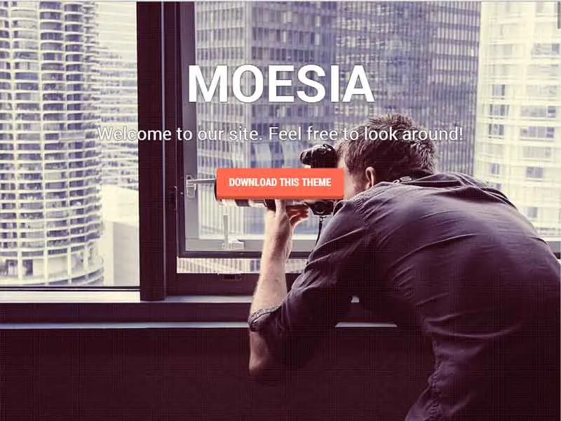 دانلود قالب شرکتی وردپرس Moesia