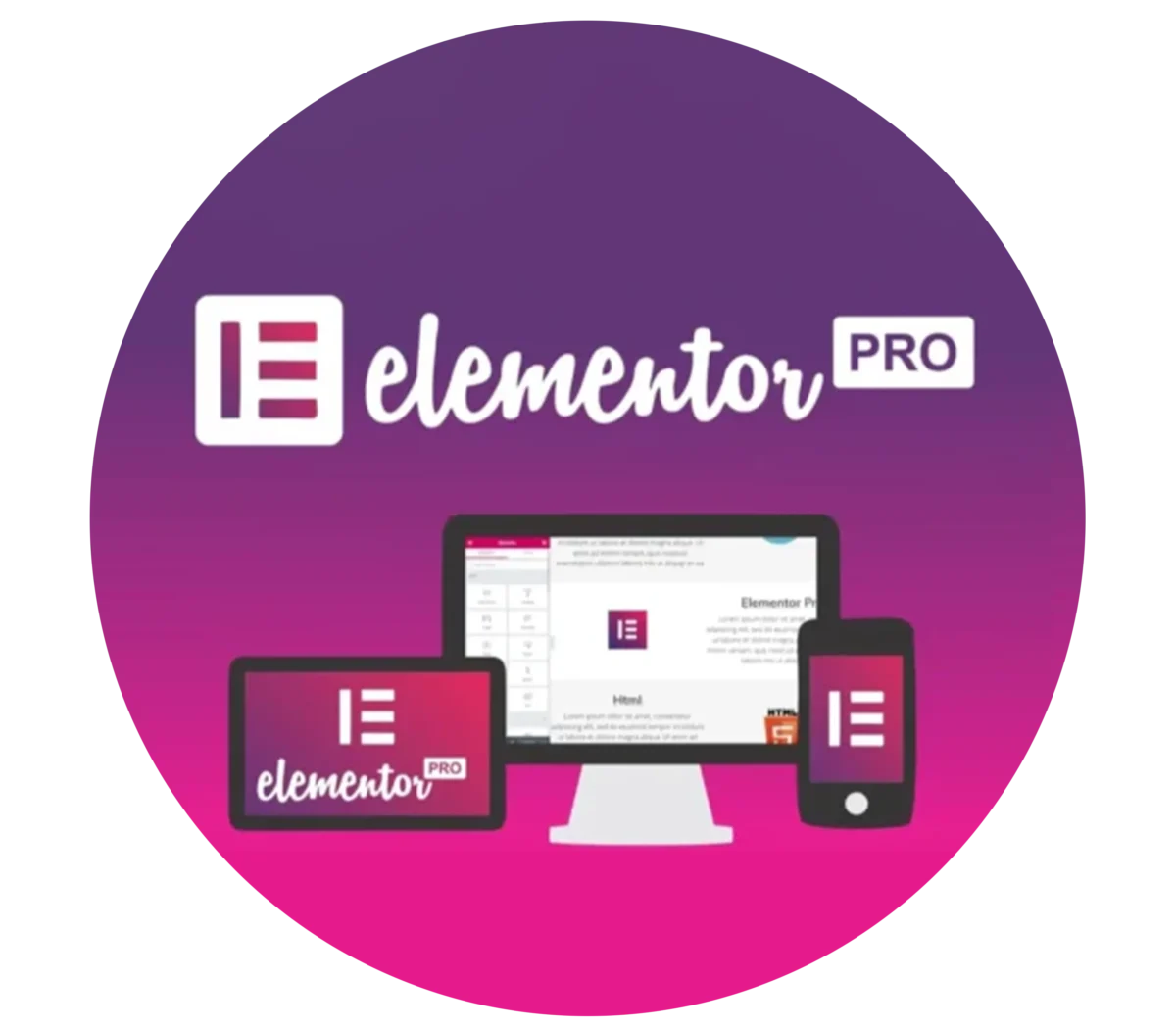 افزونه elementor pro