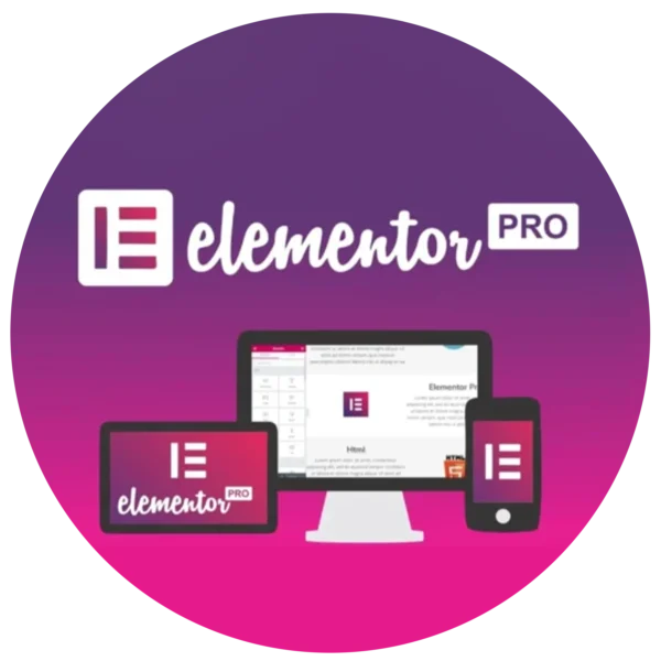 افزونه elementor pro