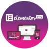 افزونه elementor pro